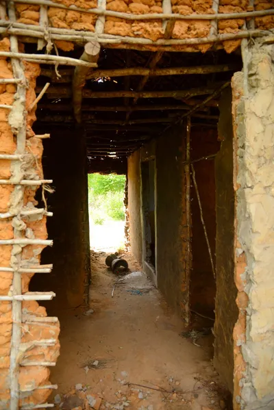 DSC_8698 (Large).JPG